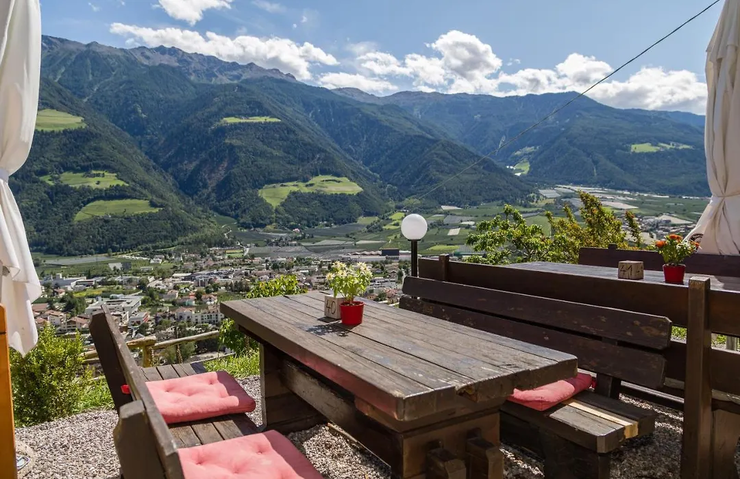 Gasthof Falkenstein-1
